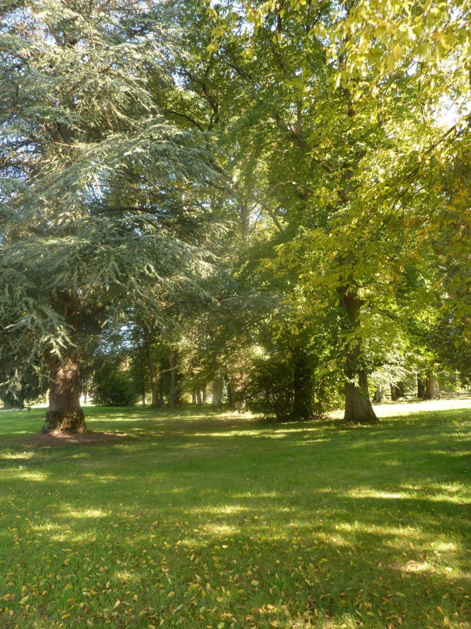 הוסטל Saint-Hilaire-en-Morvan Domaine De Chaligny מראה חיצוני תמונה